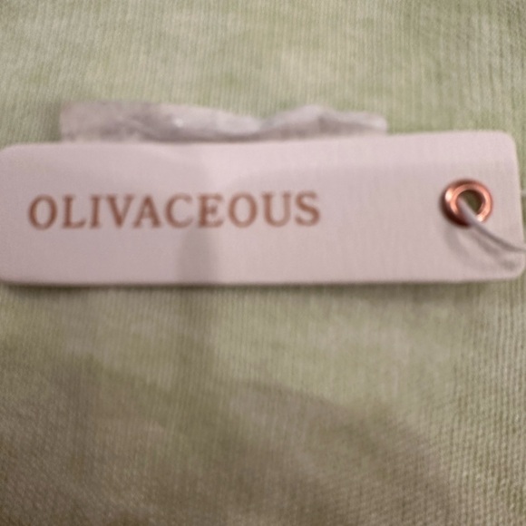 Olivaceous Light Green Long Sleeve Top - Picture 3 of 4